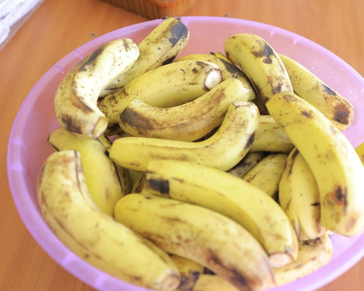 Bogoya